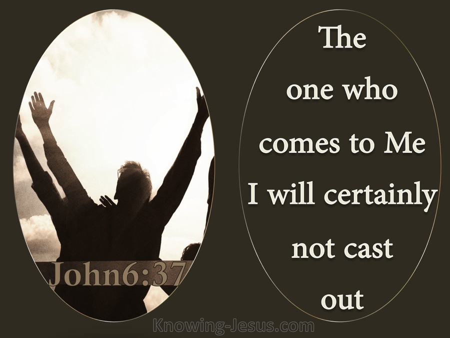 John 6:37 He Who Comes To Me WIl Not Be Cast Out (brown)
